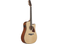 Ibanez AAD51CENT Advanced Natural Ibanez AAD51CENT Advanced Natural